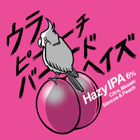ウラピーチバード ヘイズ　Hazy IPA w/Peach [350ml缶6本]