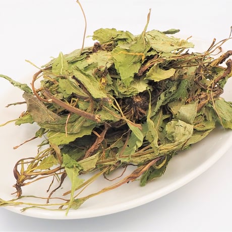 【Salvia plebeia leaf  Tea】 Health Tea/1.5 g × 20 bags/Teabags 곰보 배추 차