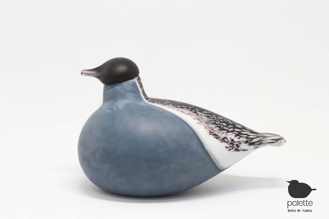  バード purple finch マット 稀少 イギリス限定 バード purple finch マット 稀少 イギリス限定 BULLFINCH GRAY