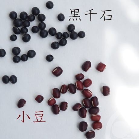鼠座布団（千紫万紅・mzo4）
