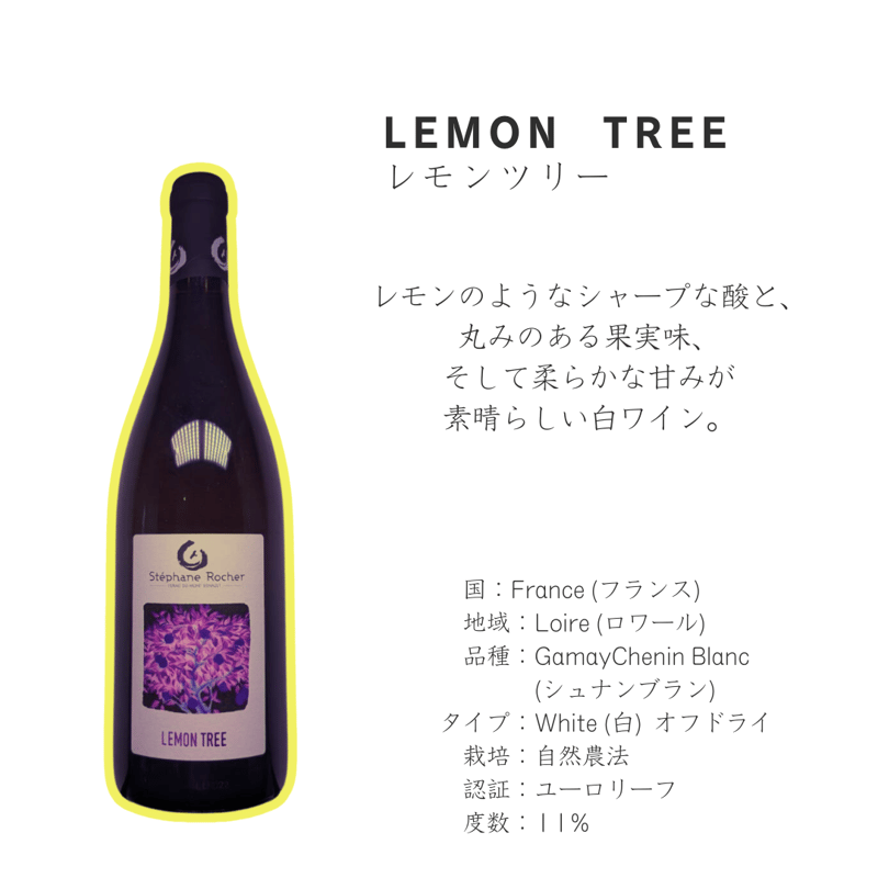 いま飲みたいナチュラル】自然派ワイン赤白2本セット | 週末ワイン倶楽部