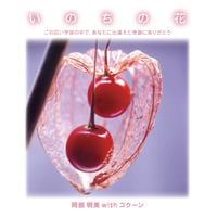 いのちの花 ～岡部明美withコクーン～