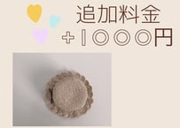 追加料金 +1000円