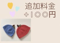 追加料金 +100円