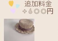 追加料金 +600円