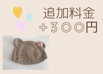 追加料金 +300円