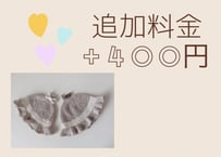 追加料金 +400円
