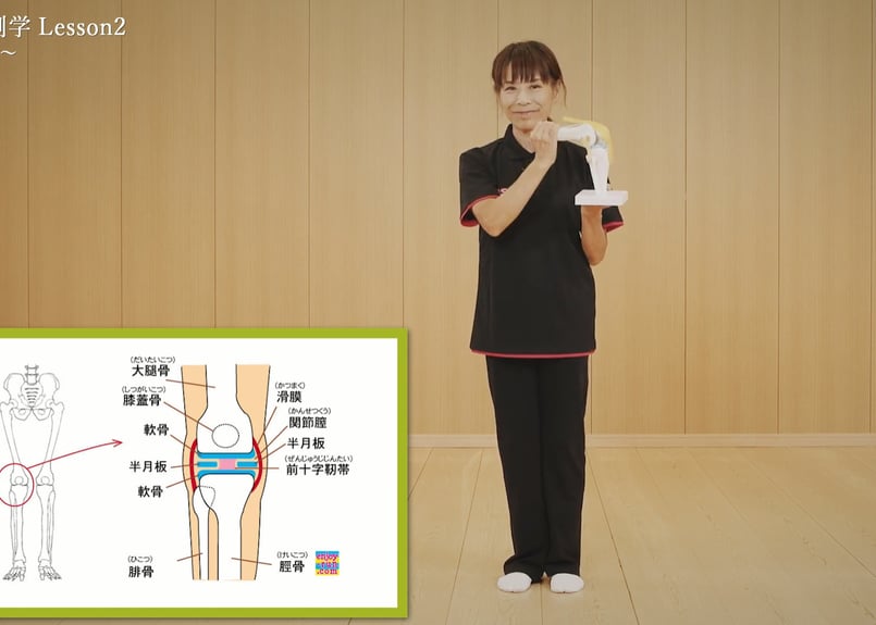 初段インストラクター養成オンライン講座】④三浦啓子「機能解剖学