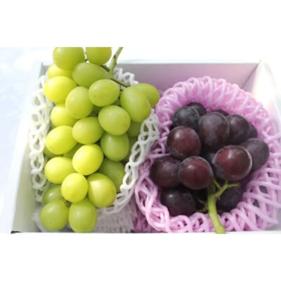 6364abdd4aed191ae7e4ecd7