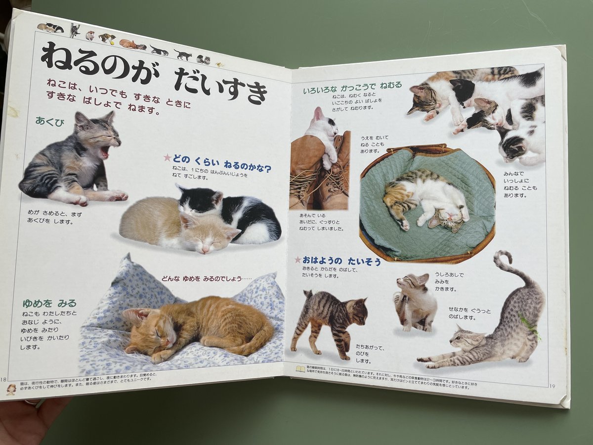 ねこねこ ねこの休ら木 レオ | ペット用品（猫） 通販 | ホームセンターの
