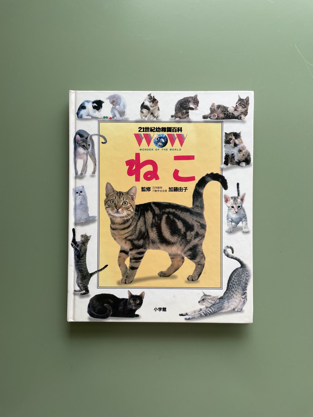 ねこねこ ねこねこ日本史」のYahoo!リアルタイム検索 - X（旧Twitter）を