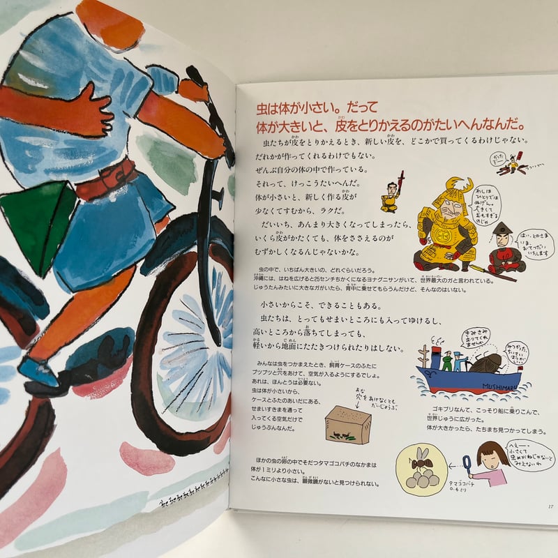 虫の生きかたガイド | KBC