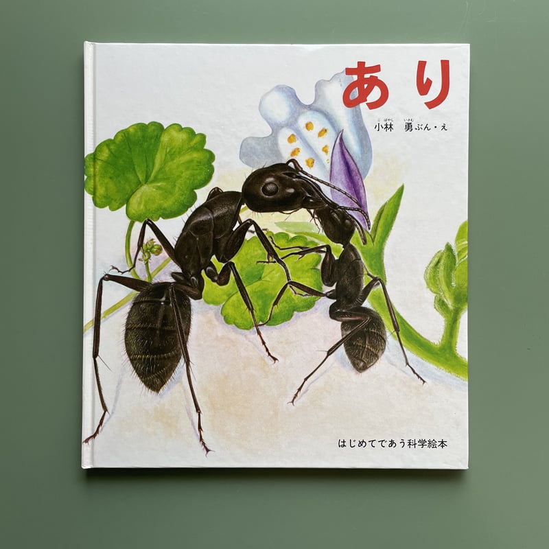 あり | KBC