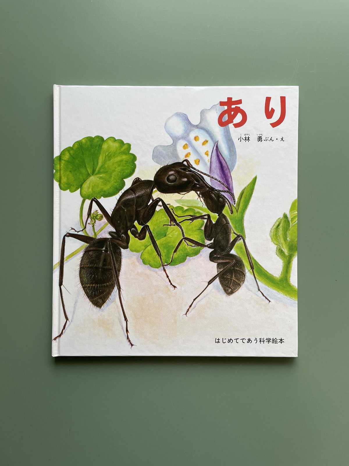あり | KBC