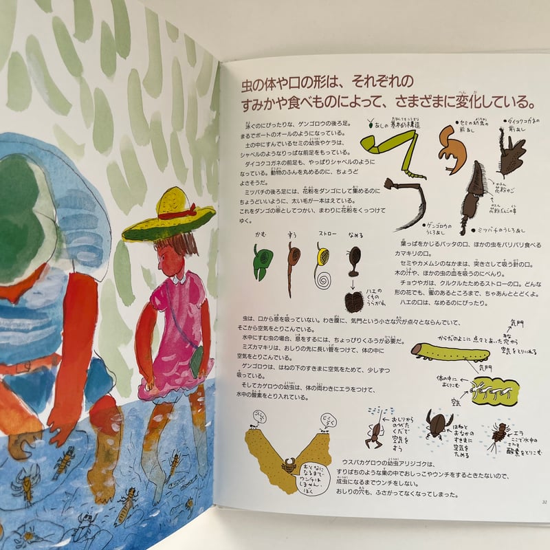 虫の生きかたガイド | KBC