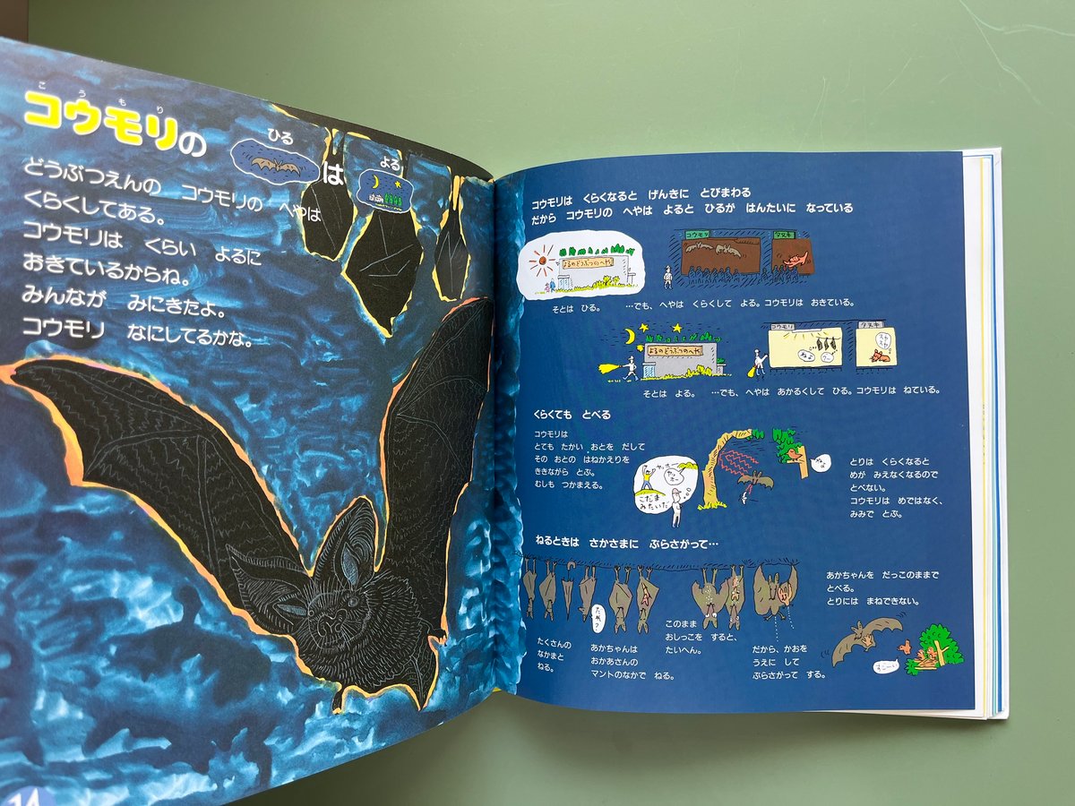 かがくのとも　あべ弘士さんのどうぶつえんガイド　4冊セット　福音館 どうぶつえんガイド｜福音館書店