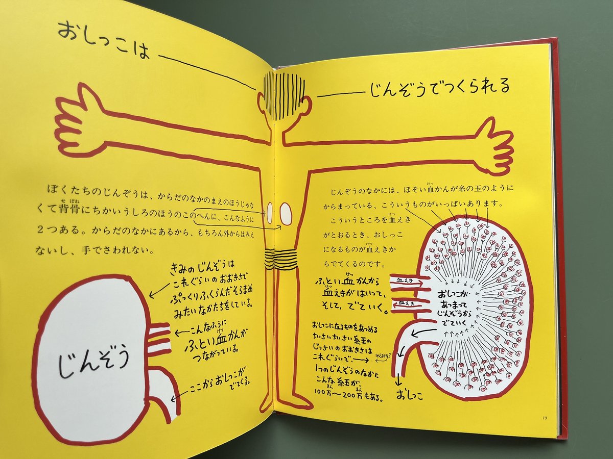 放尿　本 おしっこの研究 | KBC