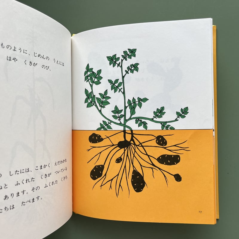 じめんのうえとじめんのした | KBC