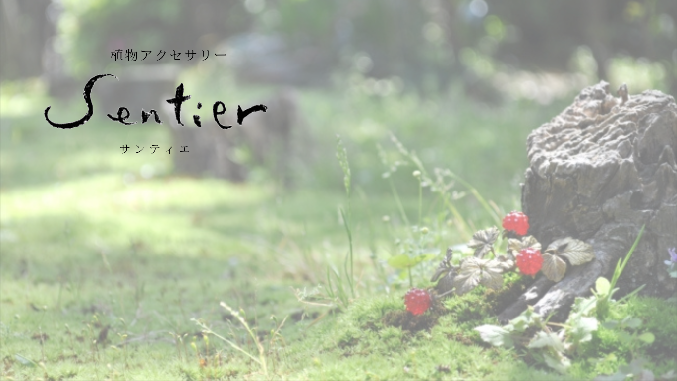 植物アクセサリー Sentier