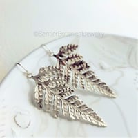 シダ植物のピアス