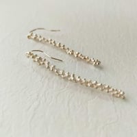 ラクウショウのピアス