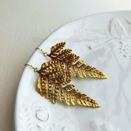 シダ植物のピアス