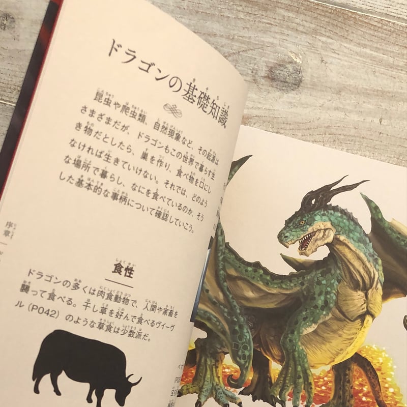 ビジュアル図鑑 ドラゴン | ウニスカストア ビジュアル図鑑 ドラゴン | ウニスカストア