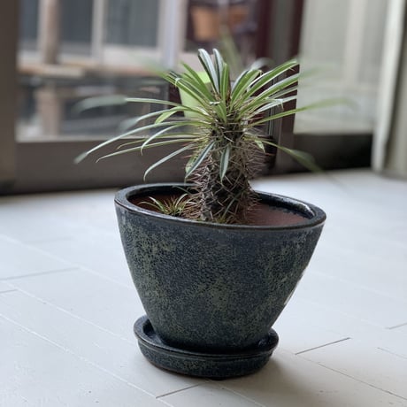 【flower pot】 植木鉢・ブルー系 Sサイズ