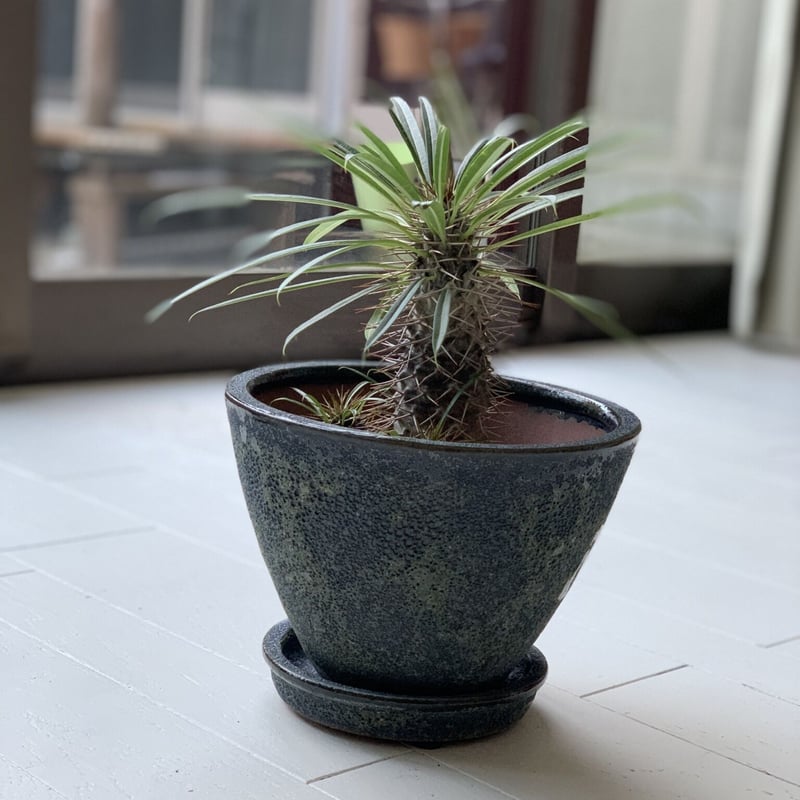 flower pot】 植木鉢・ブルー系 Sサイズ | NOOK Green