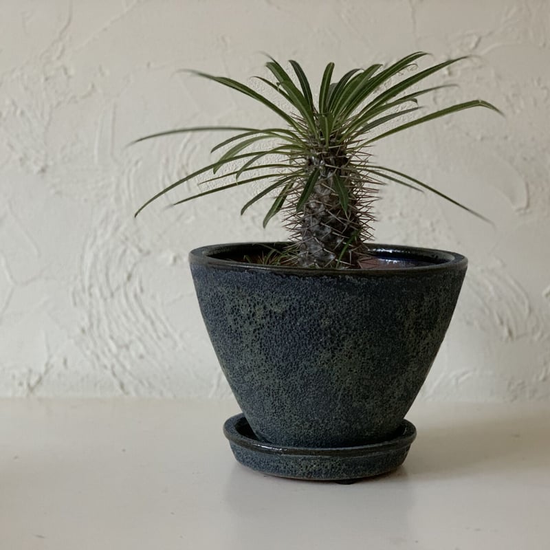 flower pot】 植木鉢・ブルー系 Sサイズ | NOOK Green