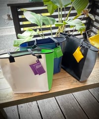OSCAR L -with POUCH