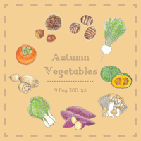イラスト素材・秋野菜９種類・Autumn Vegetables