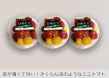 【単品販売】ひめトマ　3パック（税込・送料無料）