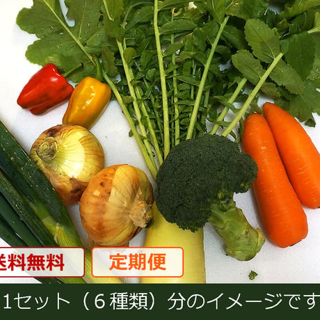 【定期便】おまかせ★新鮮野菜の詰め合わせ　6種類 x 1セット（税込・クール便送料無料)