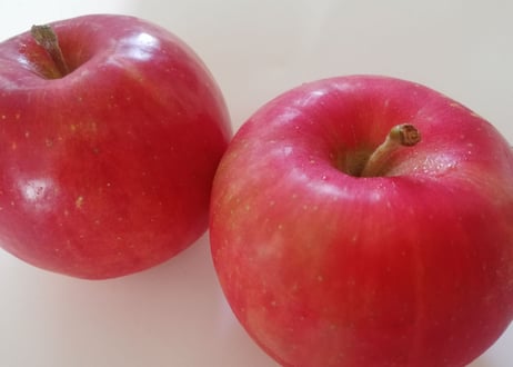 各地の百貨店などでも販売　完熟・減農薬・無農薬自然栽培りんごを産地直送　5kg【送料無料】