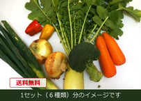 【単品販売】おまかせ新鮮野菜の詰め合わせ　6種類 x 3セット（税込・クール便送料無料)