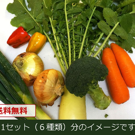 【単品販売】おまかせ新鮮野菜の詰め合わせ　6種類 x 3セット（税込・クール便送料無料)