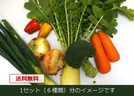【単品販売】おまかせ新鮮野菜の詰め合わせ　6種類 x 3セット（税込・クール便送料無料)