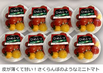 【定期便】ここでしか買えない！ひめトマ8パック《送料無料》