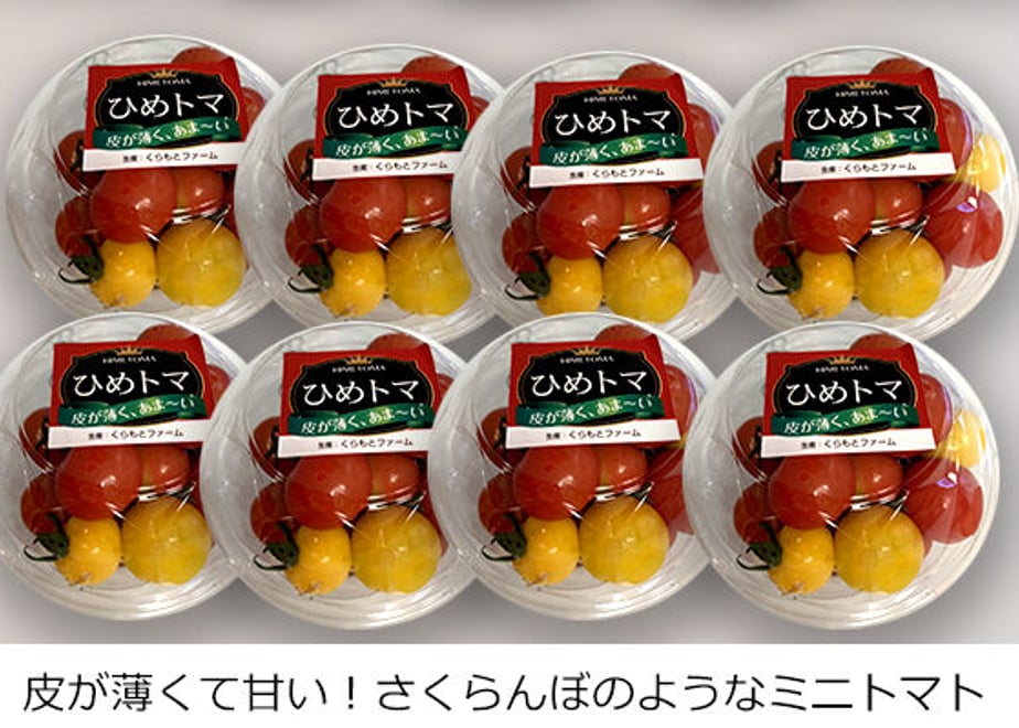 6819b509b7ac339c8929d1a9