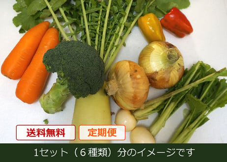【定期便】おまかせ★新鮮野菜の詰め合わせ　6種類 x 2セット（税込・クール便送料無料)