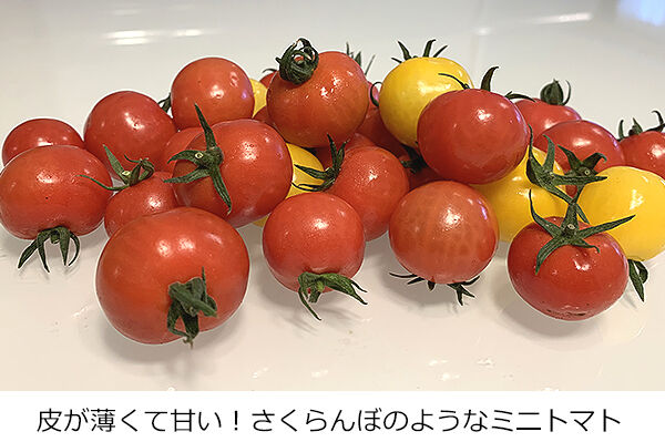 リクエスト　トマト姫 Amazon.co.jp: 【トマトグランプリ総合優勝】オスミックトマト