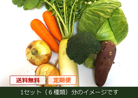 【定期便】おまかせ★新鮮野菜の詰め合わせ　6種類 x 2セット（税込・クール便送料無料)