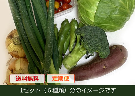 【定期便】おまかせ★新鮮野菜の詰め合わせ　6種類 x 2セット（税込・クール便送料無料)