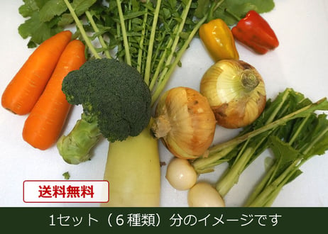 【単品販売】おまかせ新鮮野菜の詰め合わせ　6種類 x 2セット（税込・クール便送料無料)