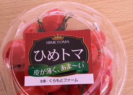 自家製ミートスース(ひめトマ使用)　5パック　10人分【送料無料】