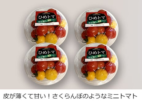 【単品販売】ひめトマ　4パック（税込・送料無料）