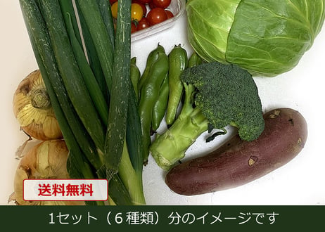 【単品販売】おまかせ新鮮野菜の詰め合わせ　6種類 x 2セット（税込・クール便送料無料)