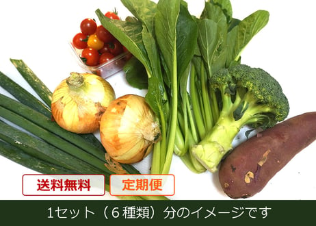 【定期便】おまかせ★新鮮野菜の詰め合わせ　6種類 x 2セット（税込・クール便送料無料)