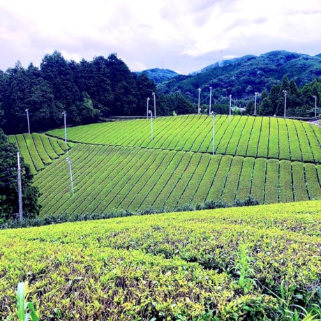 お試しお茶漬け彩り３種セット（ケース入り）